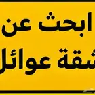 ابحث عن شقه مقبل علي زواج الاحياء مطلوبه ريحه والحويه