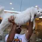 ماين كون odd eyes