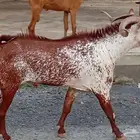اذكروا الله وصلوا على النبي
