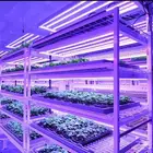 خبراء الزراعة المائية والبيوت الذكية