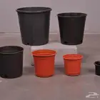 مراكن