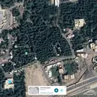 مزرعة للبيع في المدينة المنورة  قربان داخل الحد