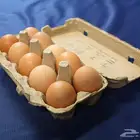مطلوب بيض دجاج بلدي