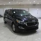 كرنفال 2020 اسود بطاقة جمركيه بوية بلده
