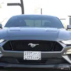 2019 Ford Mustang GT pp1