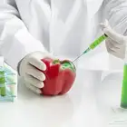 تصريح البيئي للمصانع