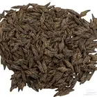 تايجر طبيعي محسن فيتنامي درجة أولى عالمية عروض خاصة للتجار