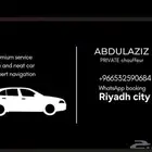قطط مندوب