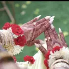 نقاشة جدة باسعار يرضي جميع