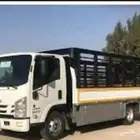 دينه ونش دنه ونش شبك