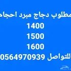 مطلوب دجاج مبرد احجام 1400 1500 1600 للتواصل
