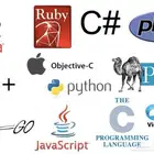 مدرس برمجة خبرة ومحترف JAVA  C PYTHON