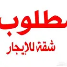 مطلوب شقه غرفة وصاله في مكة