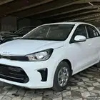 كيا بيجاس استاندر 2025 عروض للشركات