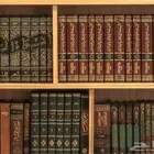 امين مكتبة وبائع كتب خبرة في مجال الكتب اكثر من 13سنة