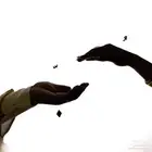 تصوير اعراس