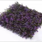 كميات العشب الاصطناعي تيل صناعي