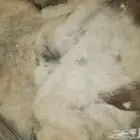 للبيع فروة طفيلي ثقيله شبه جديدة