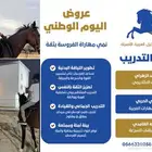 تدريب فروسية 100 ريال