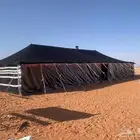بيوت شعر تركي درجة اولى شغل ممتاز