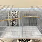 قفص طيور كبير ونظيف للبيع