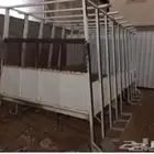 صندوق دينا ايسوزو للبيع