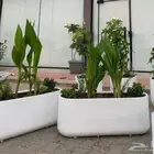 احواض زرع فايبر