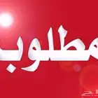 مطلوب كورولا 2005-2010 نظيفة