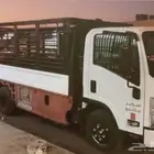 في أبها دينا خميس مشيط دينه نقل دنه