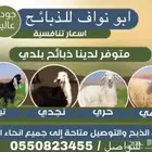 ذبايح حري ذبائح حريات ذبيحه ذبيحة هرافي جبر