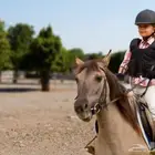 تدريب ركوب خيل وتدريب تكوندو