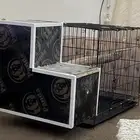 شبك انتاج طيور كبيره جديد