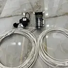 تيمء