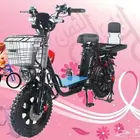 دراجة كهربائية روسي 16