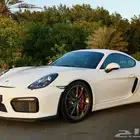 Porsche GT4