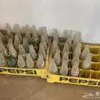 البيع علبه لمشروبات