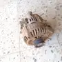 كابرس رويال 2006 تشليح  