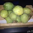 لوز بجلي للبيع