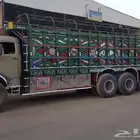 صناديق لوري بوز 24