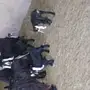 معزا مقاني عوارض