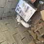 ارانب للبيع 
