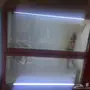 ثلاجة عرض لحم