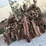 شلايخ سمر شرط الإعلان الاول موجود وزدنا عليه 