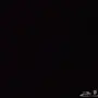 ارقام امريكيه ورخييصه 