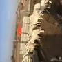 غنم حريات صنف منوه القناى بعيالها 