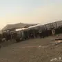 للبيع معزة وضان 