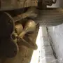 بوري هوا 