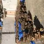 حطب للبيع نجران