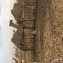 خفوت على ضراب 