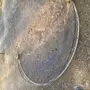 شبكة ريموت للبيع ( مصيده ) 